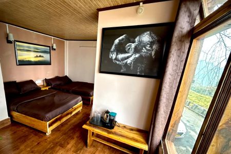 Family View Room